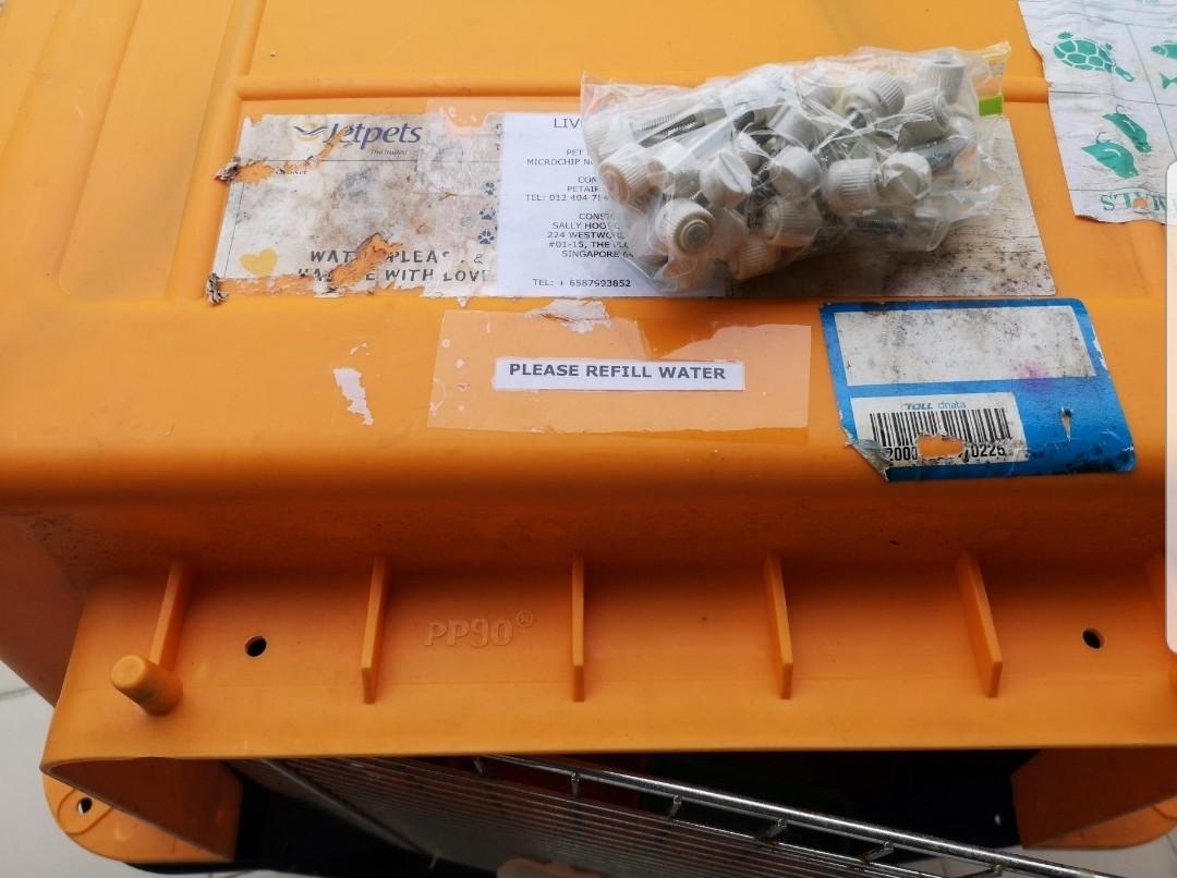 Dog Crate PP90 Airline Approved Pet Carrier Jumbo (131L x 80W x 85cmH