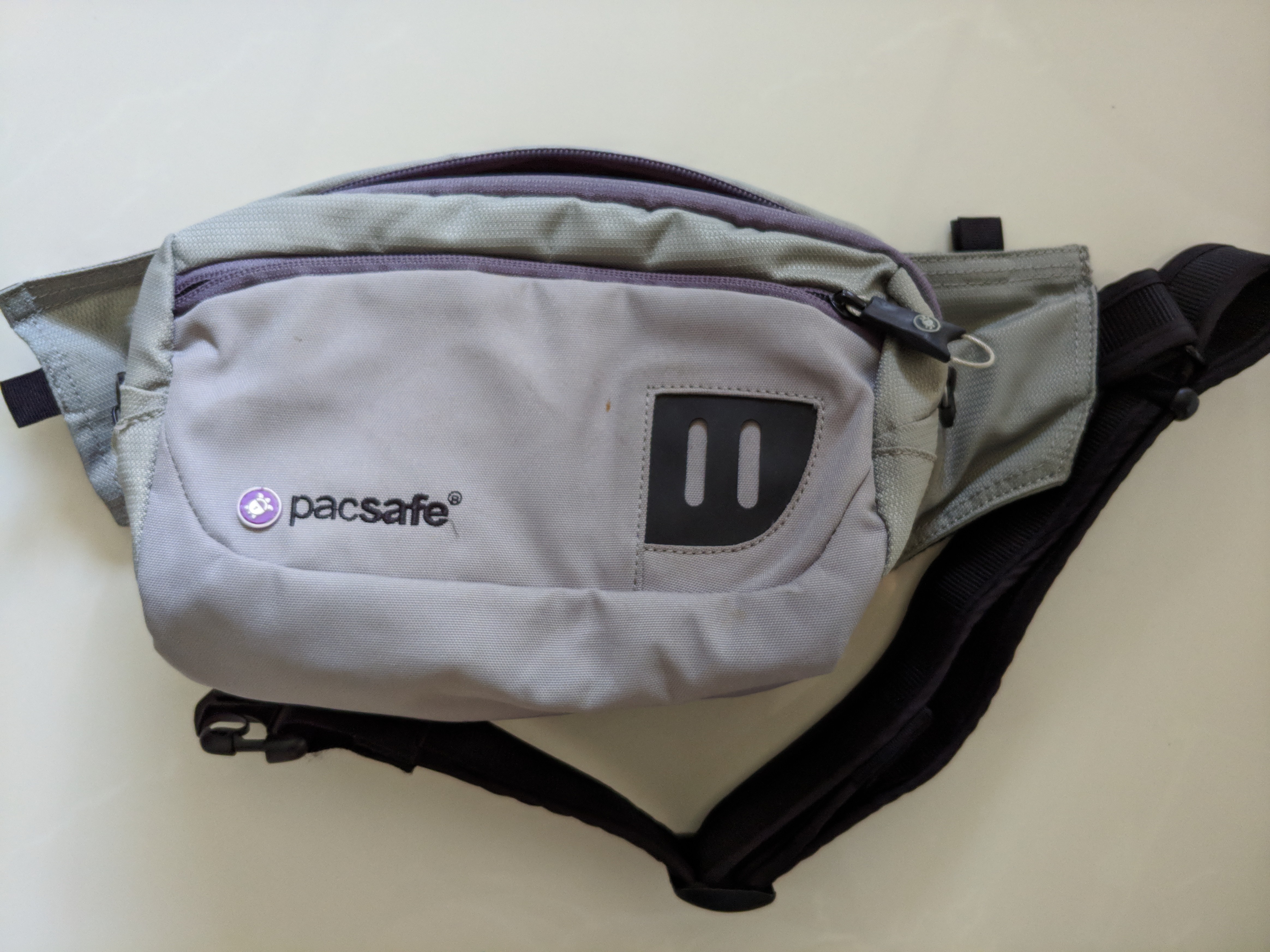 pacsafe pouch
