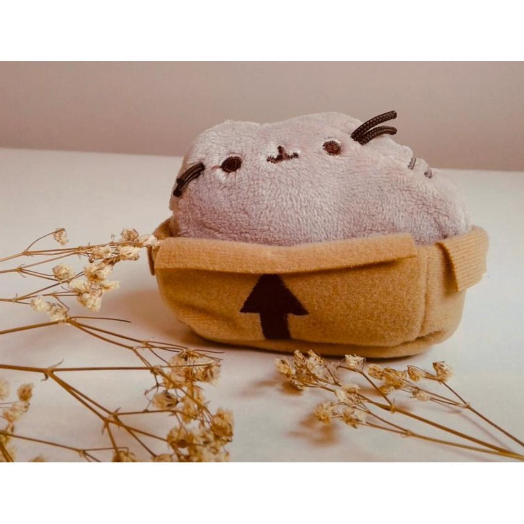 Pusheen Cat Plush Keychain Everything Else On Carousell