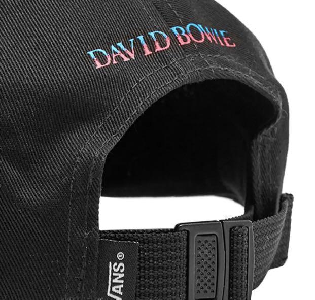 Vans david store bowie hat