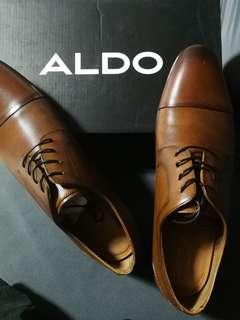 Brand new aldo brown leather shoes