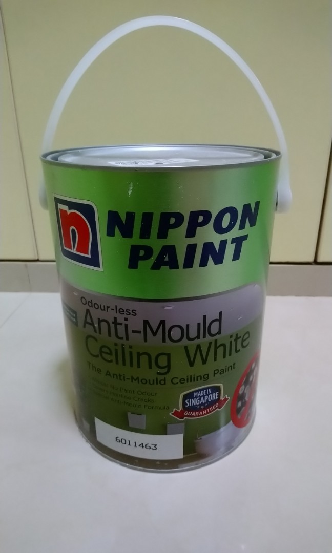 5L Nippon Paint Antimould Ceiling White (Brand New), Everything Else on Carousell
