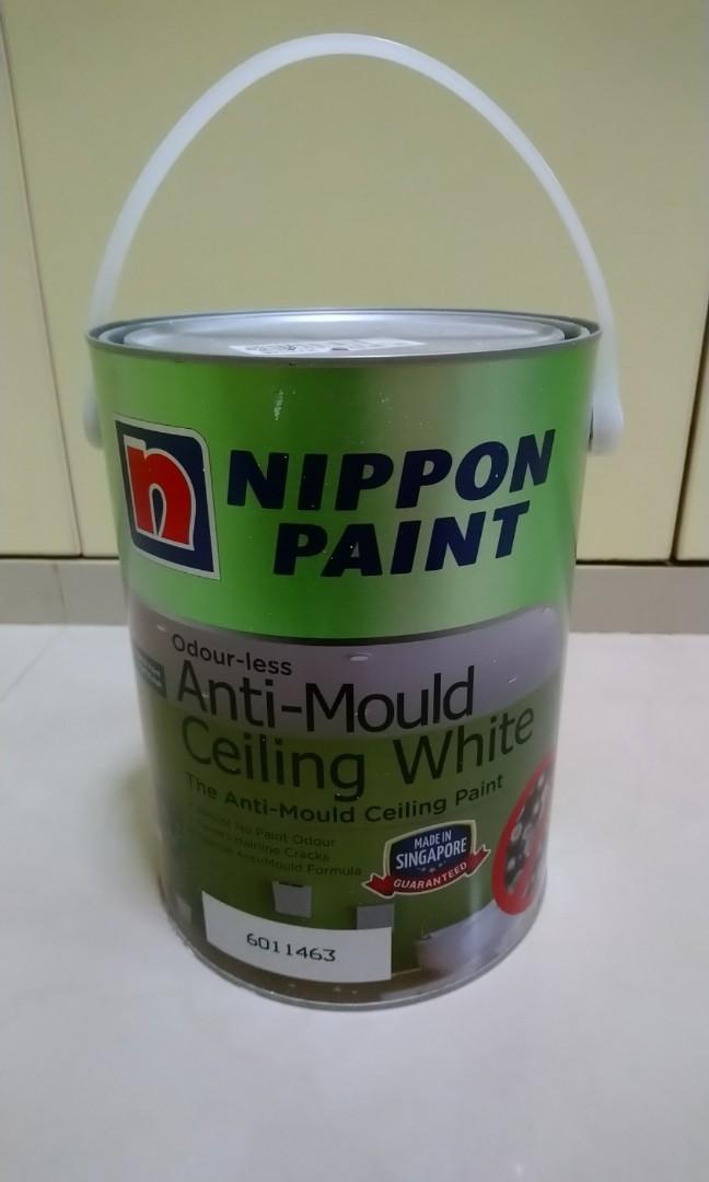 5L Nippon Paint Antimould Ceiling White (Brand New), Everything Else on Carousell