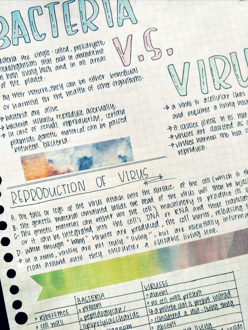 ~biology study notes~ (Category: Assessment Books) located in Singapore. Submitted by enirehtaccc (Listing ID 223064448, Image 3). Description: ~biology notes~ --> personally made notes to help in summarising and condensing what you have learnt --> colourful markers, highliters, washi tapes and stickers used to help stimulate the brain and encourage learning --> mostly applicable for sec 1 and sec 2 students studying biology in school topics avai