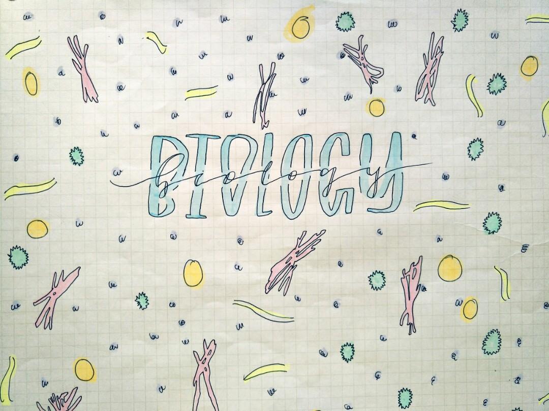 ~biology study notes~ (Category: Assessment Books) located in Singapore. Submitted by enirehtaccc (Listing ID 223064448, Image 2). Description: ~biology notes~ --> personally made notes to help in summarising and condensing what you have learnt --> colourful markers, highliters, washi tapes and stickers used to help stimulate the brain and encourage learning --> mostly applicable for sec 1 and sec 2 students studying biology in school topics avai