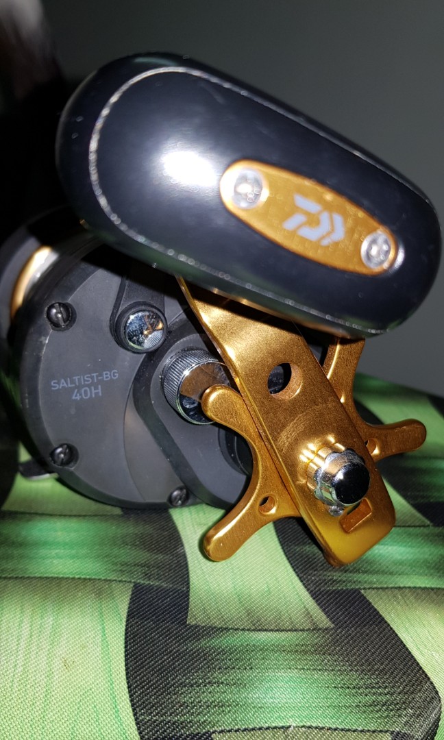 daiwa saltist bg 40h
