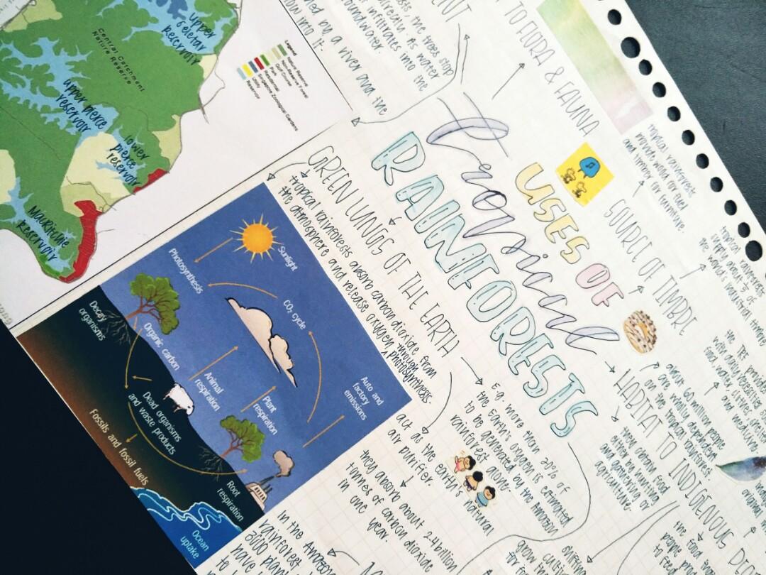 ~geography study notes~ (Category: Assessment Books) located in Singapore. Submitted by enirehtaccc (Listing ID 223098682, Image 3). Description: ~geography notes~ --> personally made notes to help in summarising and condensing what you have learnt --> colourful markers, highliters, washi tapes and stickers used to help stimulate the brain and encourage learning topics available: • energy crisis (4 pages) $2 • natural vegetation (3 pages) $1 • to