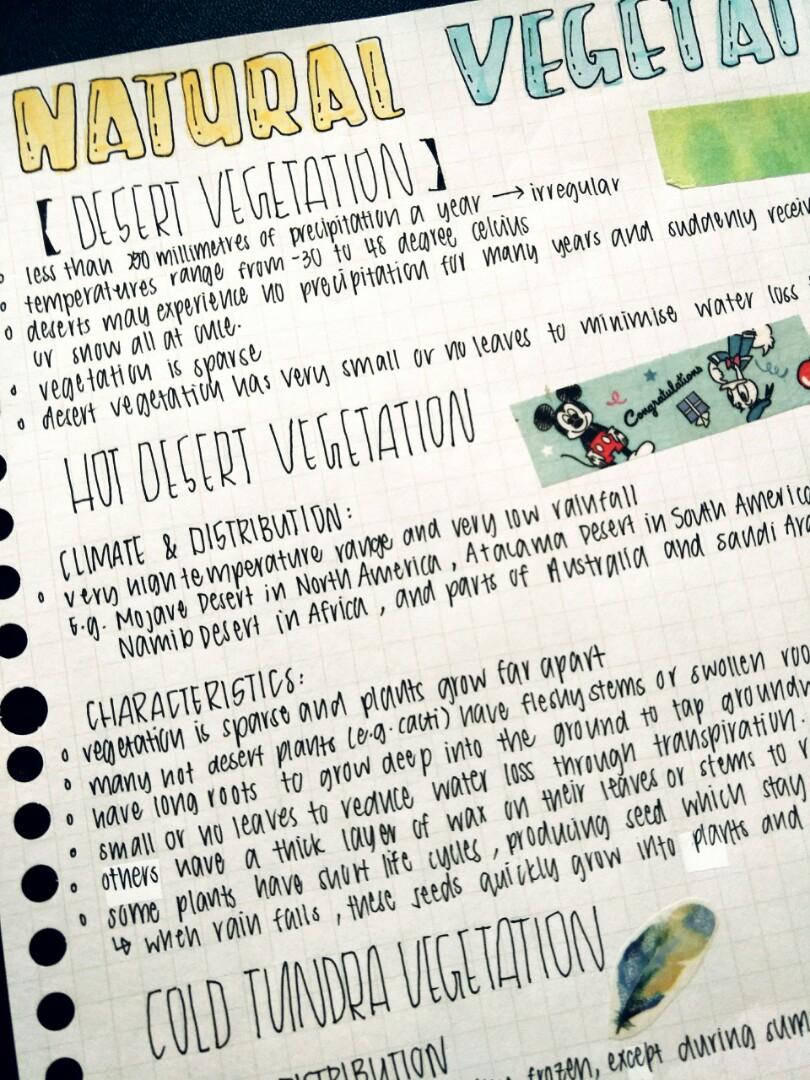 ~geography study notes~ (Category: Assessment Books) located in Singapore. Submitted by enirehtaccc (Listing ID 223098682, Image 1). Description: ~geography notes~ --> personally made notes to help in summarising and condensing what you have learnt --> colourful markers, highliters, washi tapes and stickers used to help stimulate the brain and encourage learning topics available: • energy crisis (4 pages) $2 • natural vegetation (3 pages) $1 • to