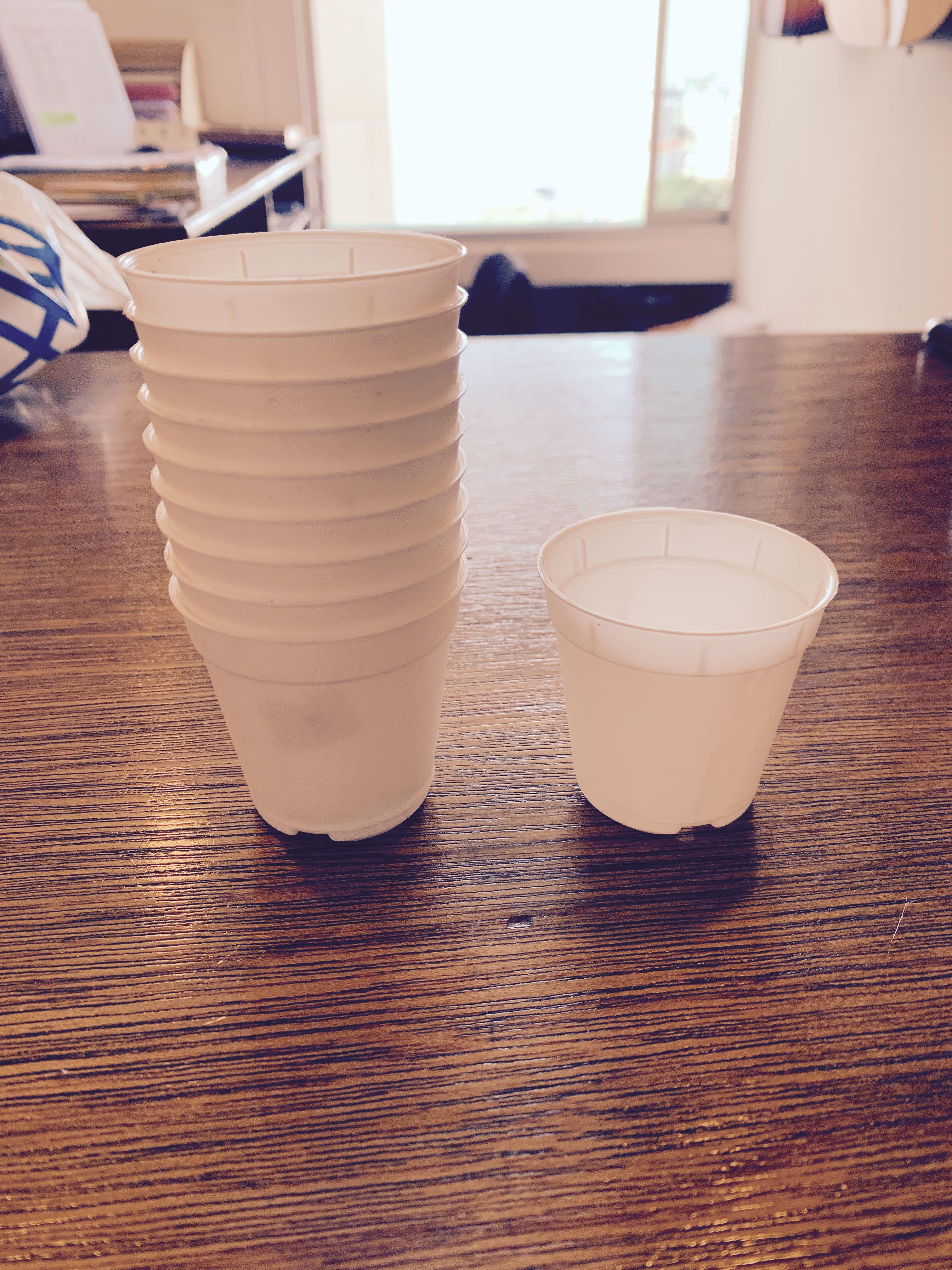 Wallpaper White Plastic Cups Pots 5 5cm Gardening Pots Planters On For Free
