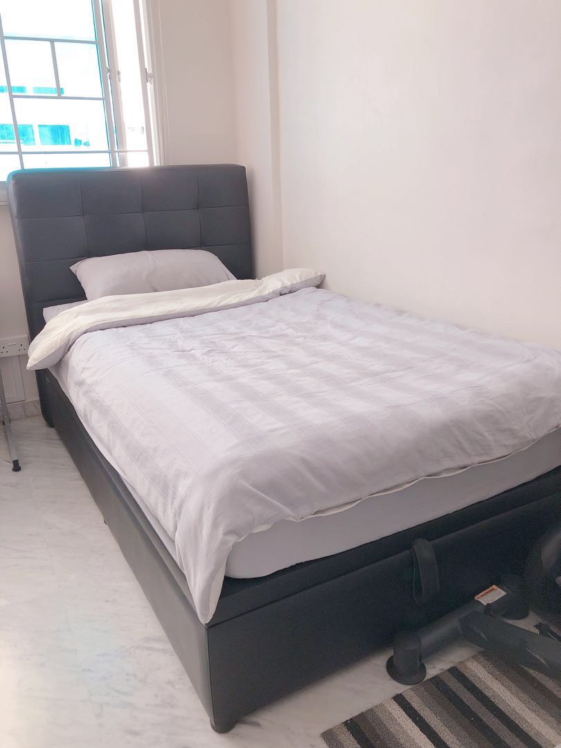 King koil 2025 storage bed