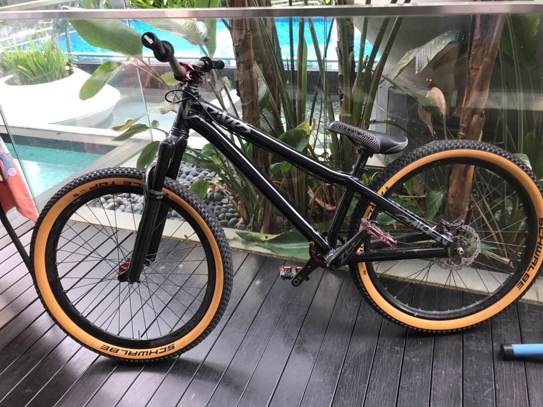 Schwalbe dirtjump tyre swap or sell