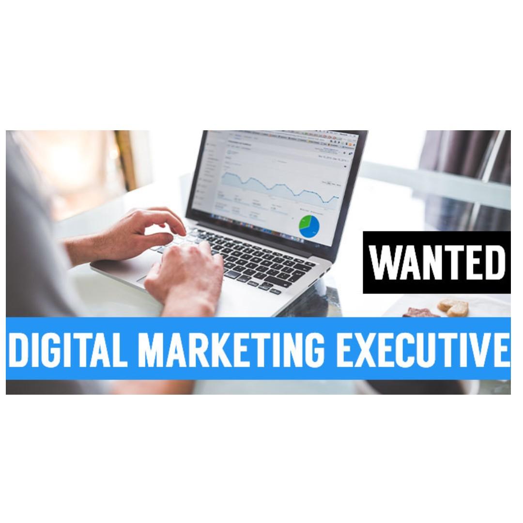 Wanted Digital Marketing Executive Jobs Sales Retail Marketing On Carousell