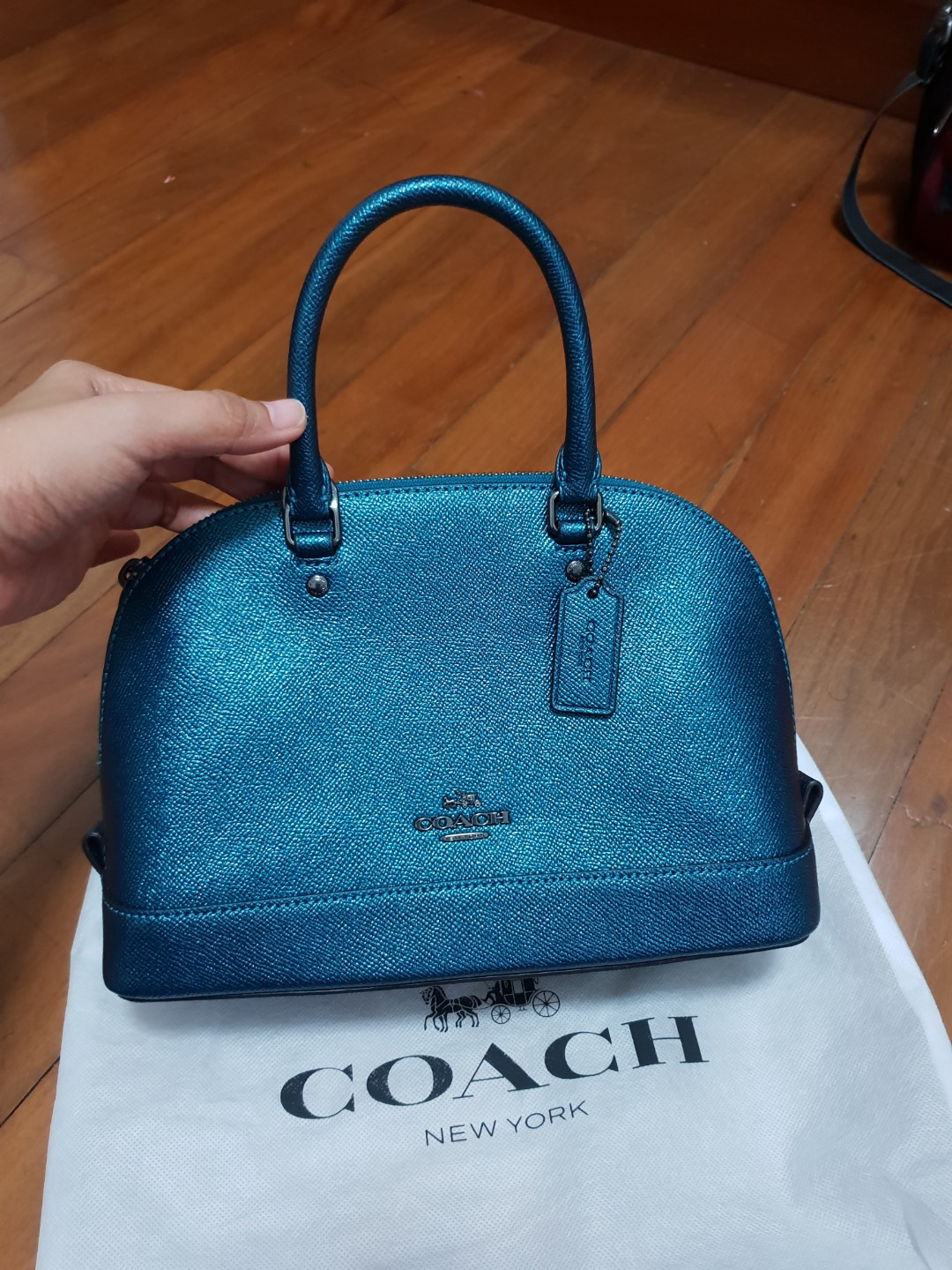 Coach mini sierra metallic online