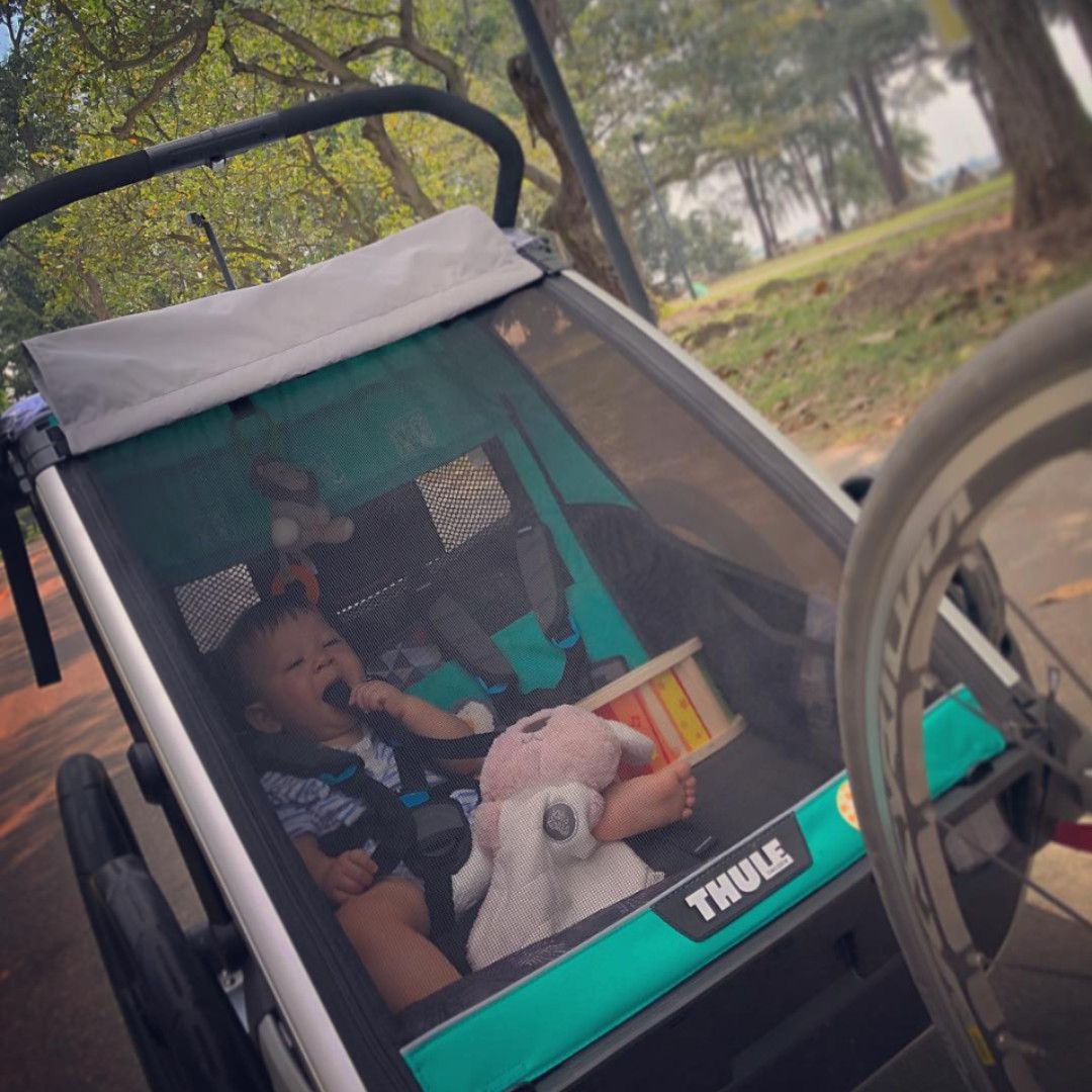 Thule chariot 2024 lite double