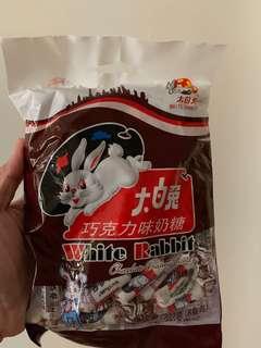 White rabbit from Singapore