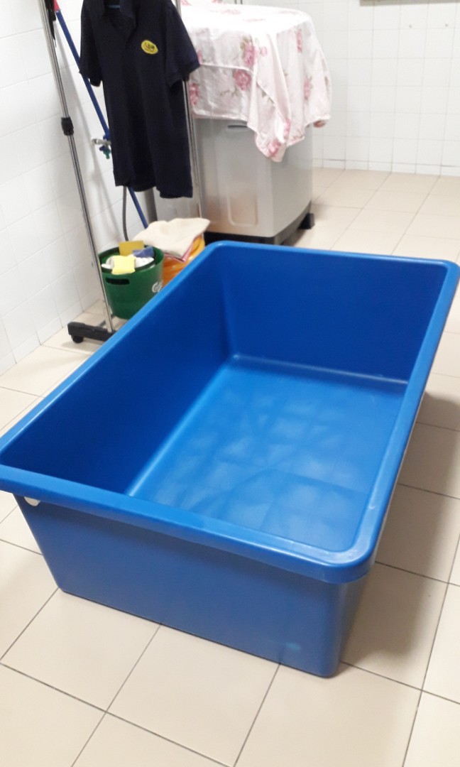 Blue fish tank on sale