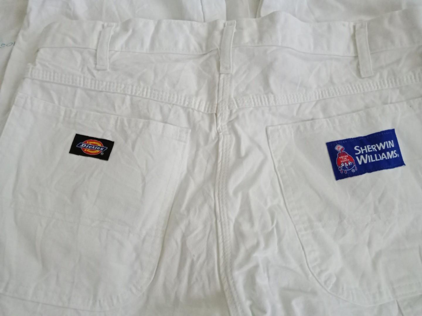 Dickies x sherwin williams work pants 