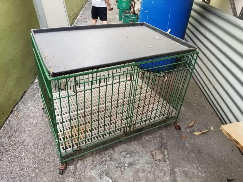 Dog & Cat Cage, Pet Supplies, Homes & Other Pet Accessories on Carousell