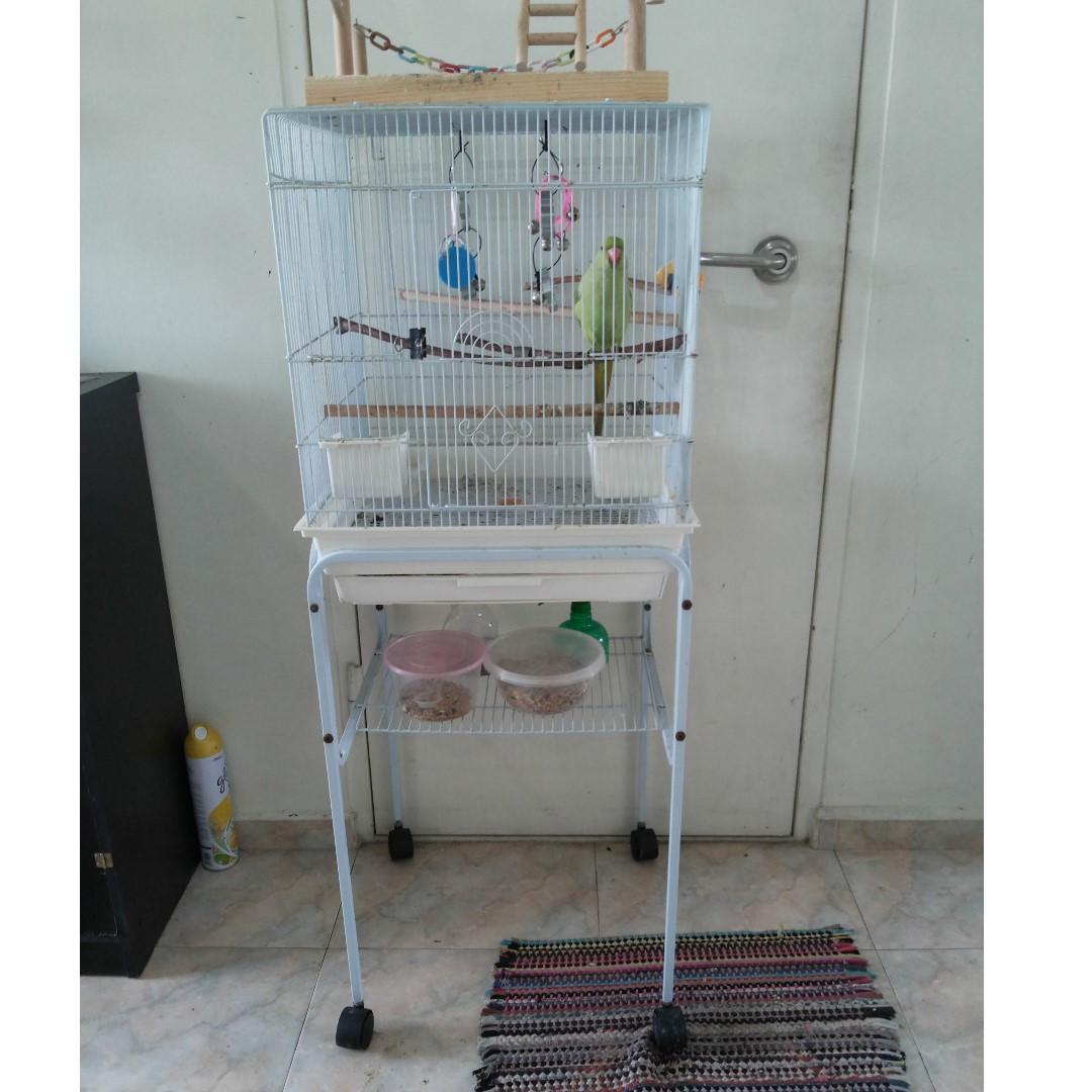 medium bird cage with stand