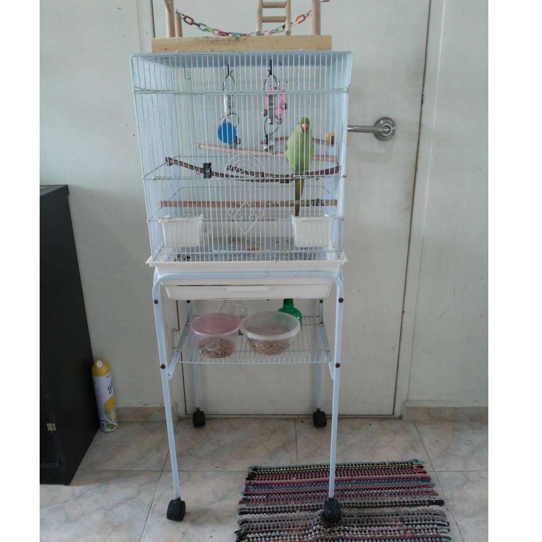 budgie cage stand sale