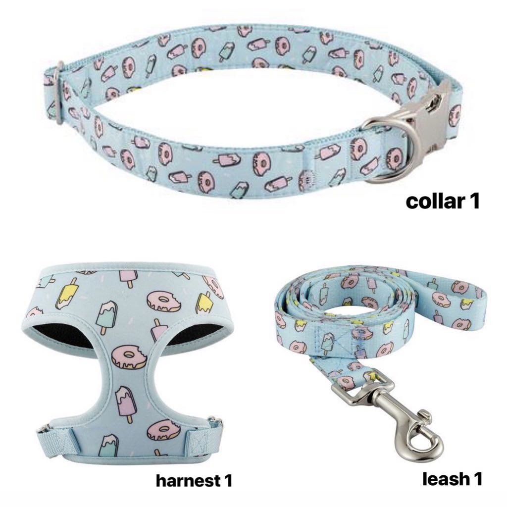 cute dog collars and leashes