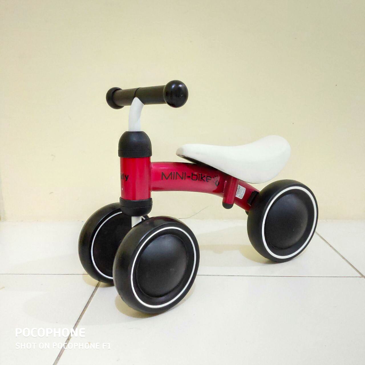 Luddy shop mini bike