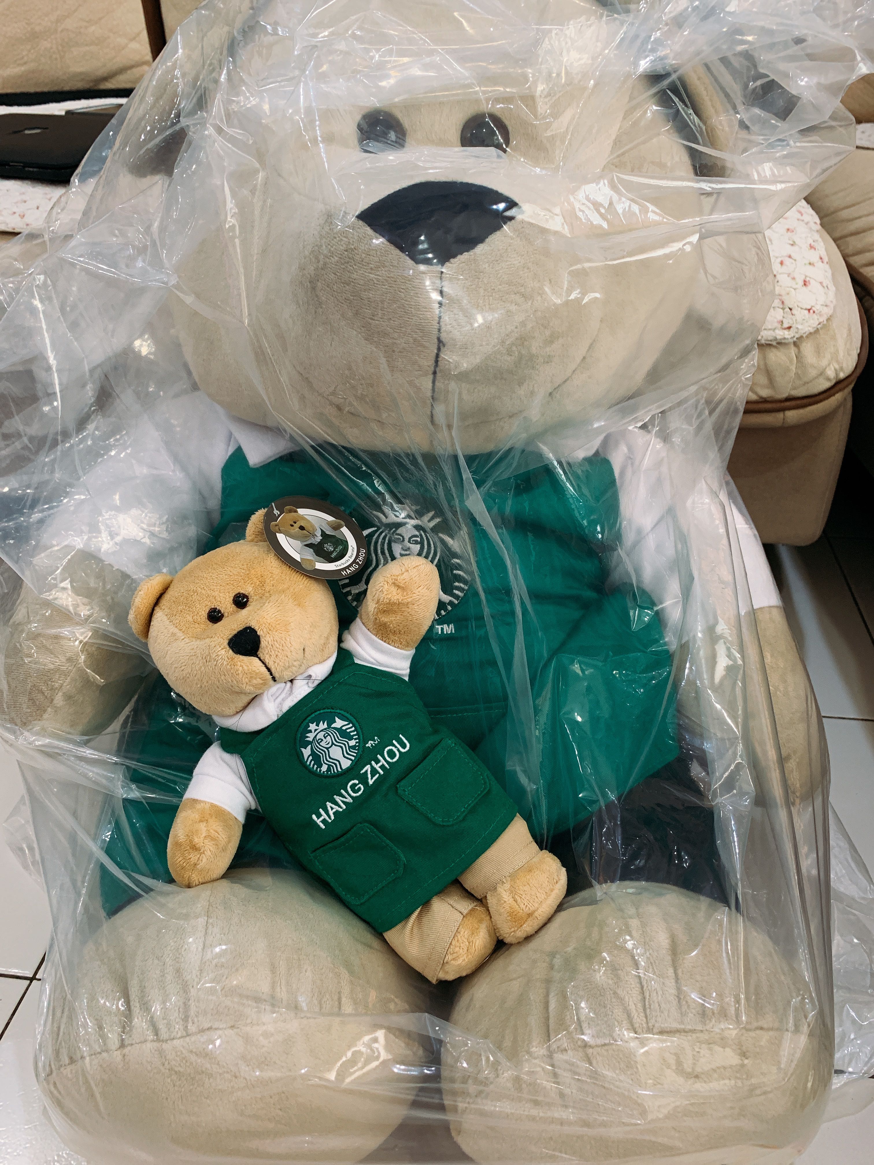 starbucks teddy bear