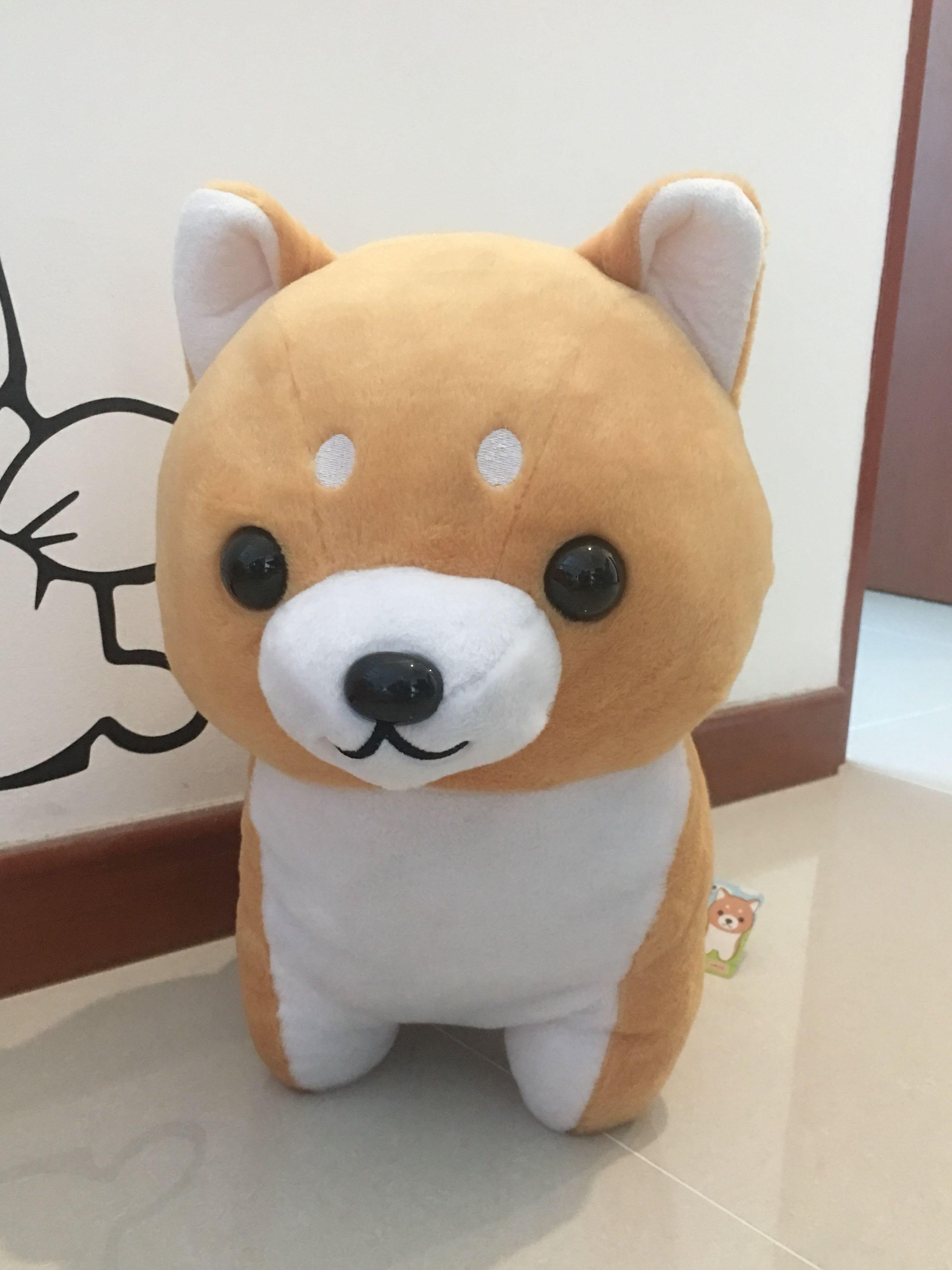 amuse shiba inu