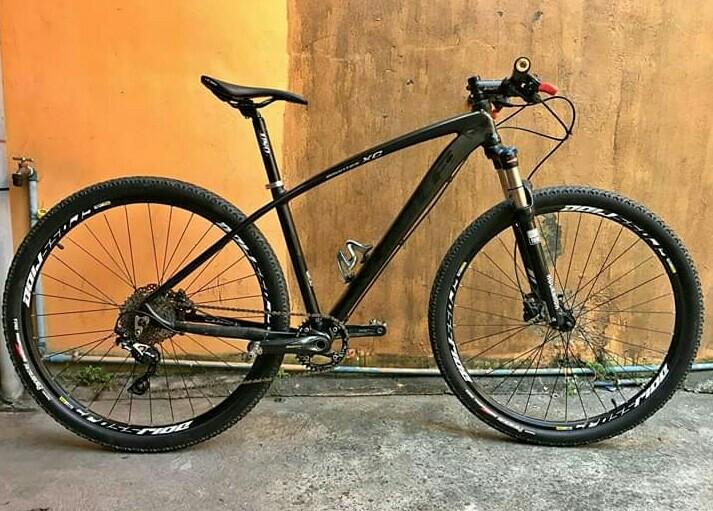 Cole brontes 29er clearance