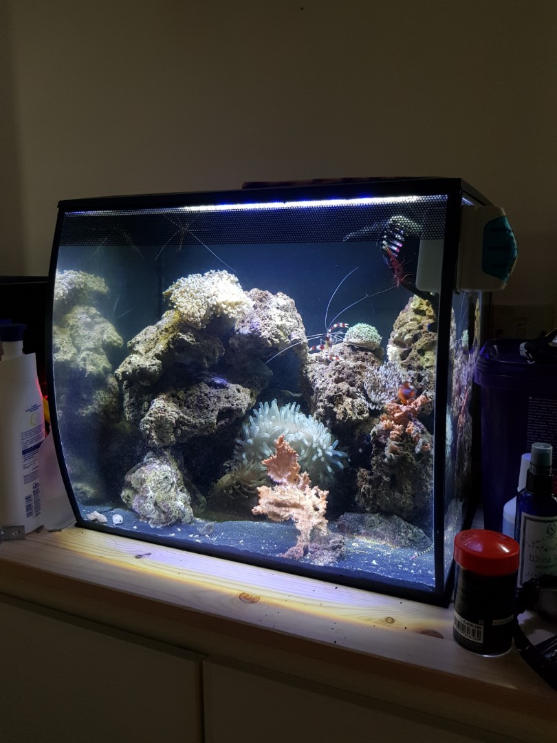 Fluval flex deals 57l