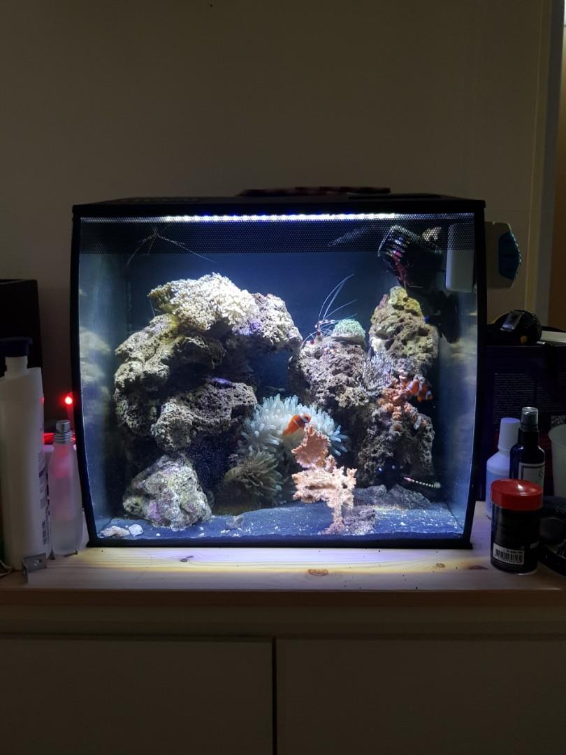 fluval flex 57l aquarium unit