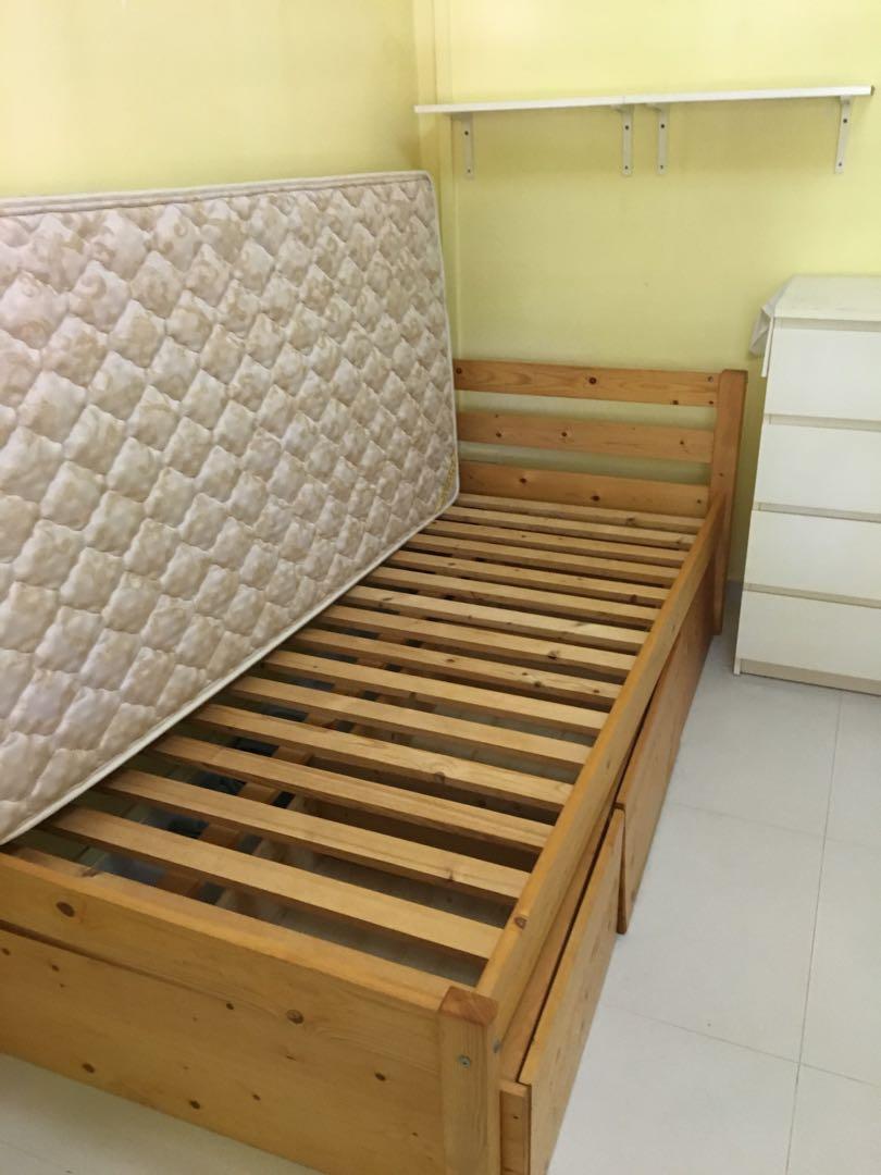 Free Pine Wood Bed Frame Single Seahorse Brand Furniture