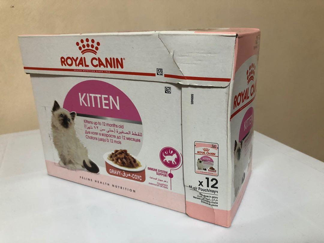 Royal Canin Kitten Pouch In Gravy 1 Box 12 Pouches Pet Supplies For Cats Cat Food On Carousell
