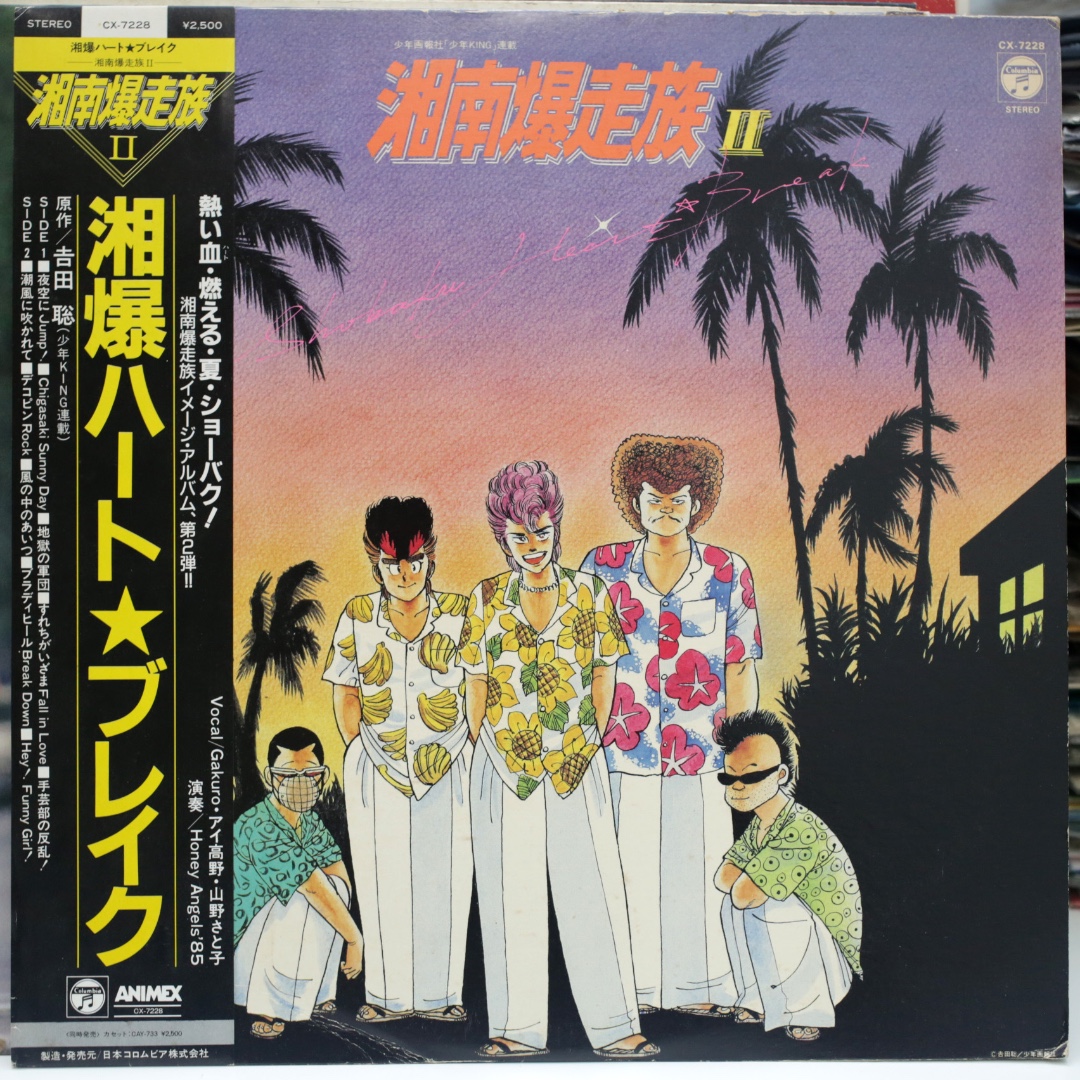 湘南爆走族ii 黑膠唱片lp 興趣及遊戲 音樂樂器 配件 音樂與媒體 Cd 及dvd Carousell