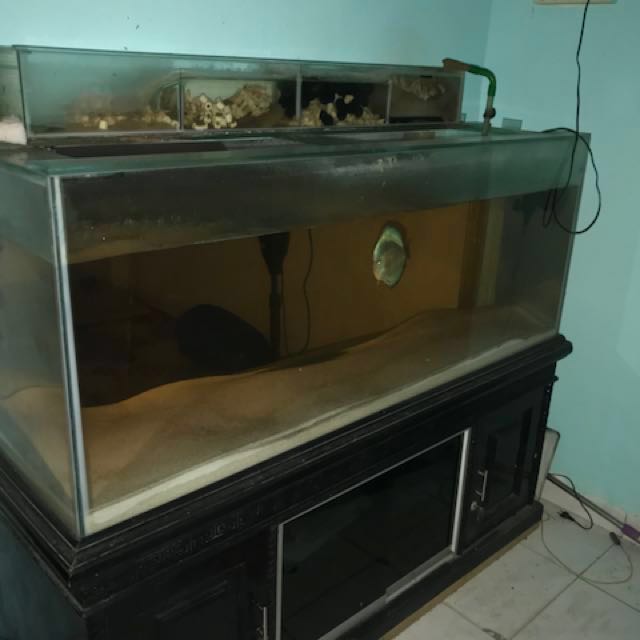 Aquarium150x80x60 Berikut Lemari Kanopi Tebal Kaca 10 Mm Pet