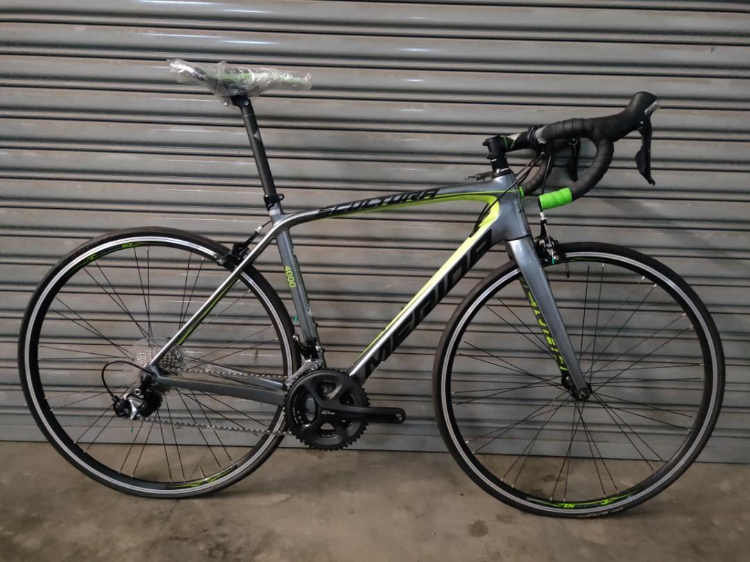 2017 merida scultura 2025 4000