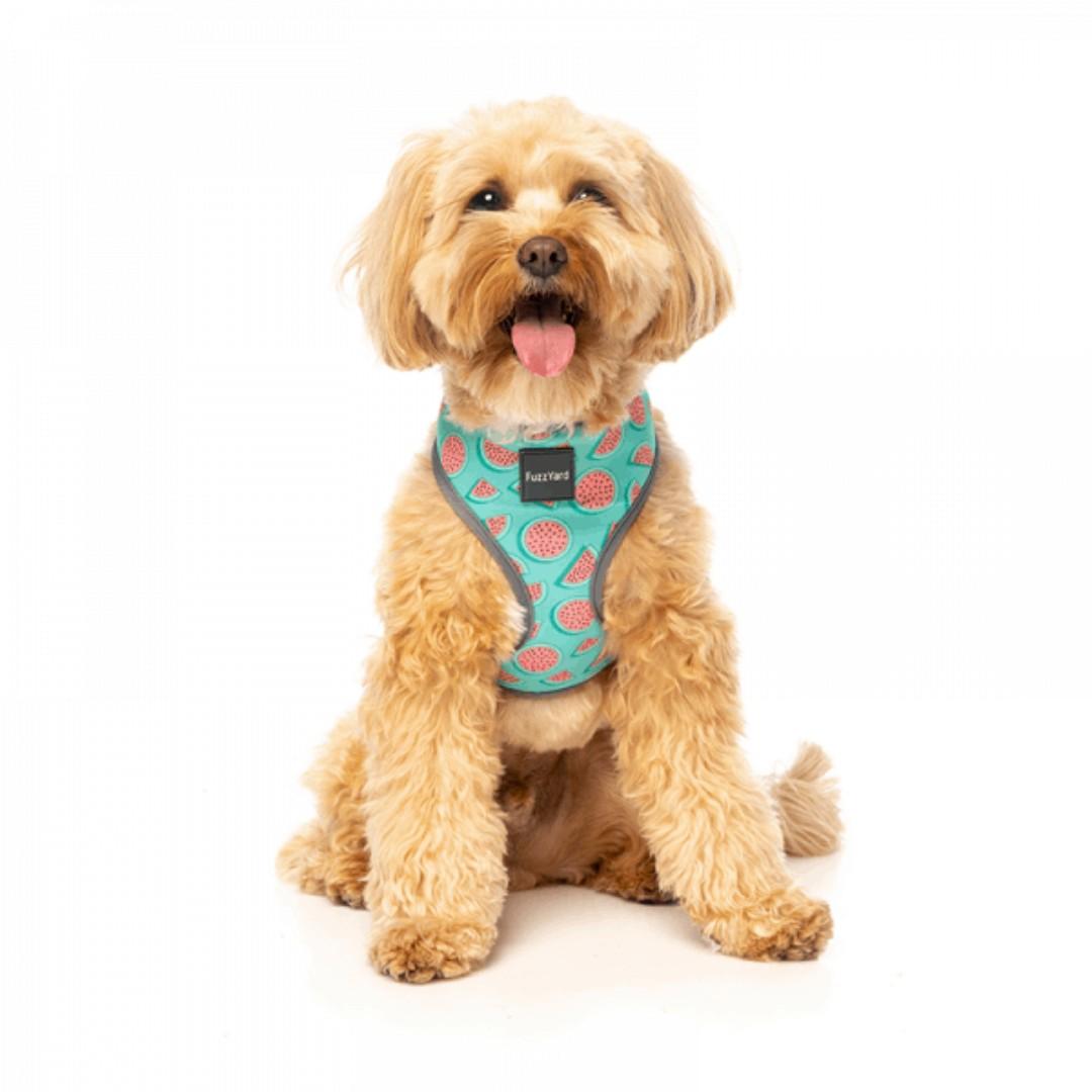 fuzzyard step in harness