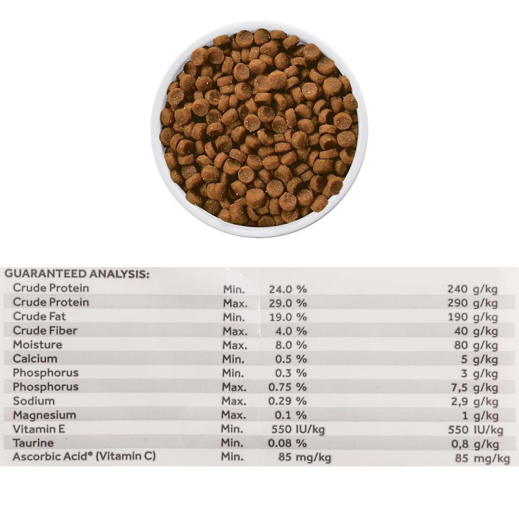 Hill S Prescription Diet K D Kidney Care With Chicken Dry Cat Food