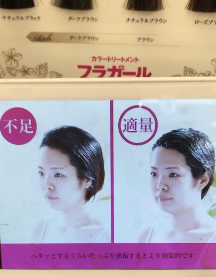 Japan Henna Hair Dye Organic (Natural Brown Colour ...