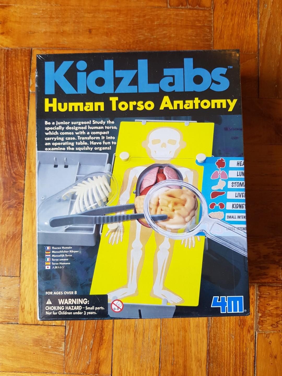 Brand New & Sealed KidzLabs Human Torso Anatomy Be a Junior Surgeon 