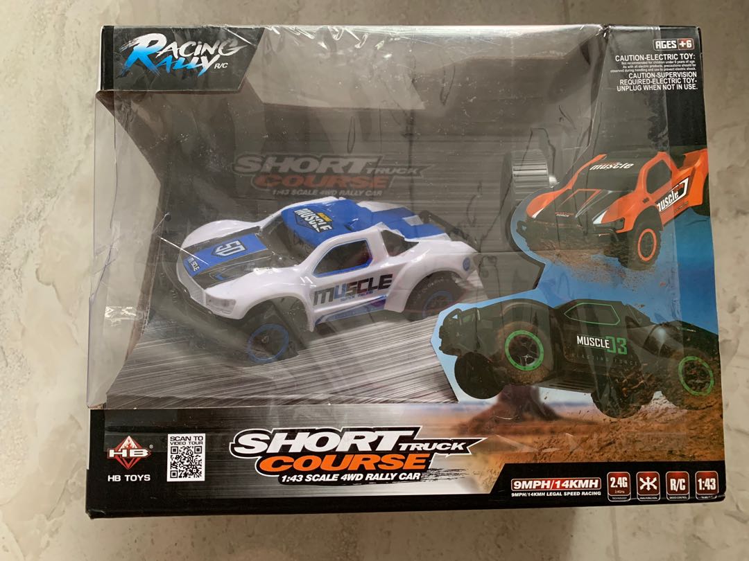 racing rally rc car
