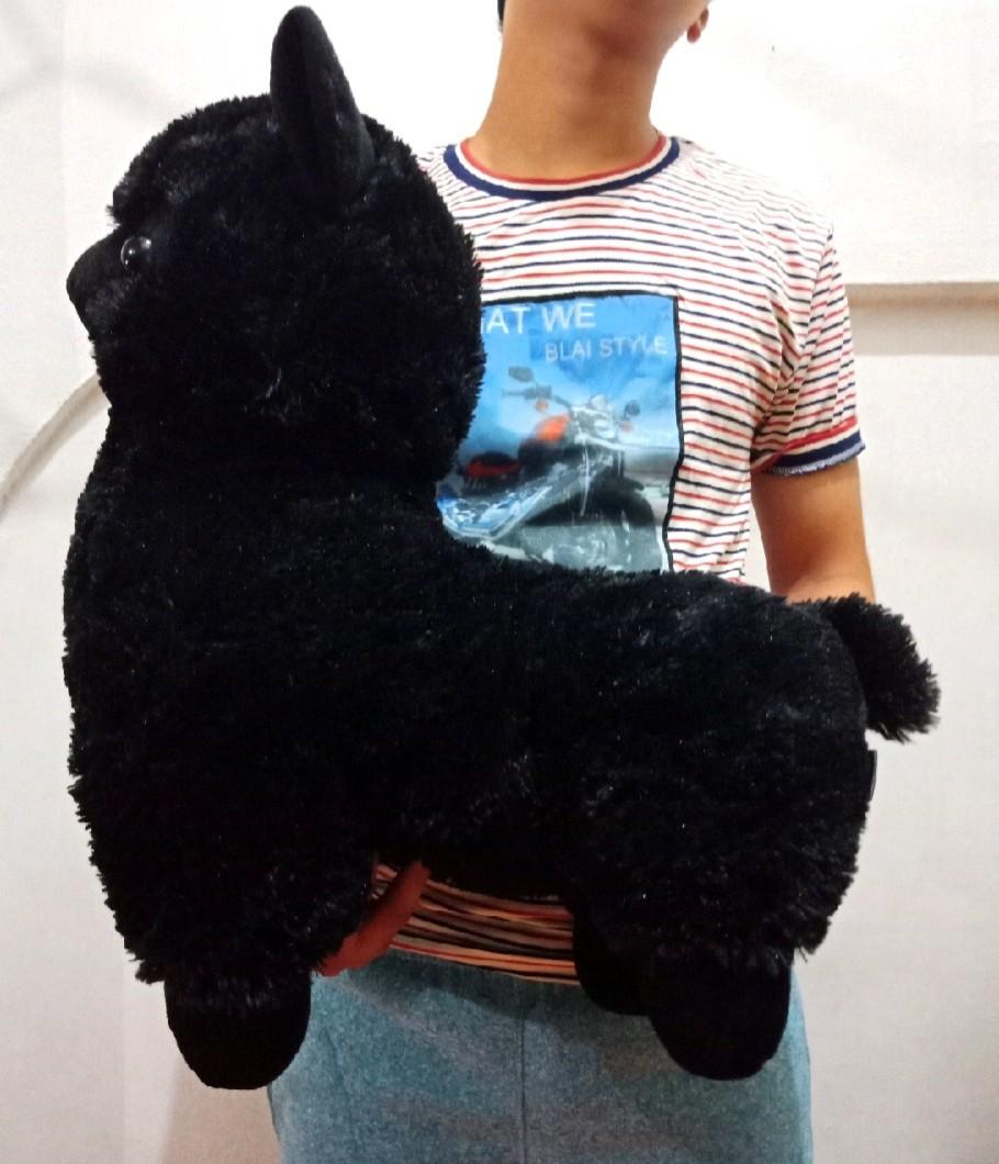Rare alpacasso or arpacasso japan original