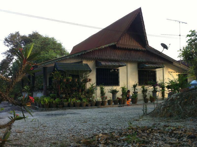 Tanah Pertanian 3 ekar bersama rumah untuk di sewa, Property 