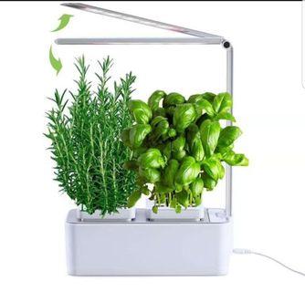 Smart planter with LED switch light