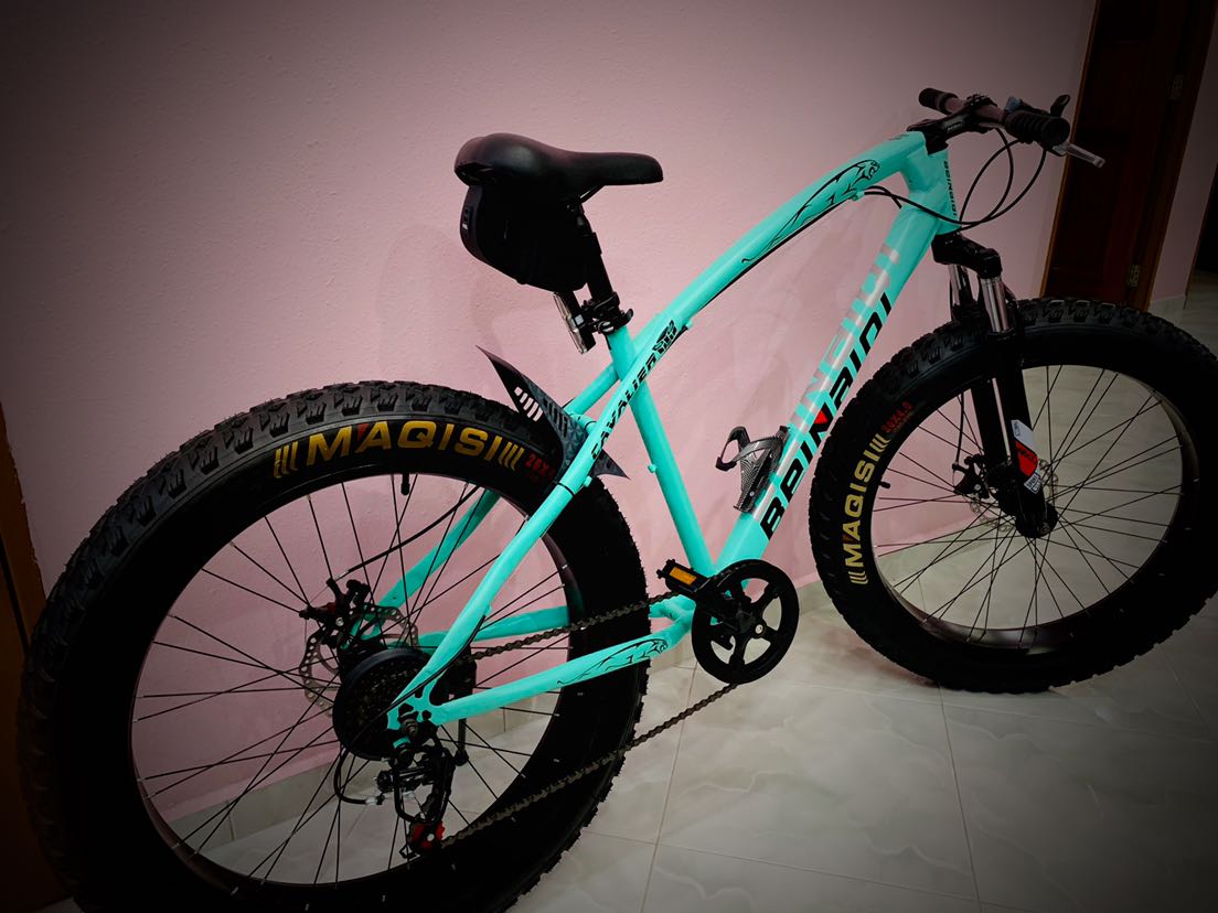inexpensive fat tire bikes