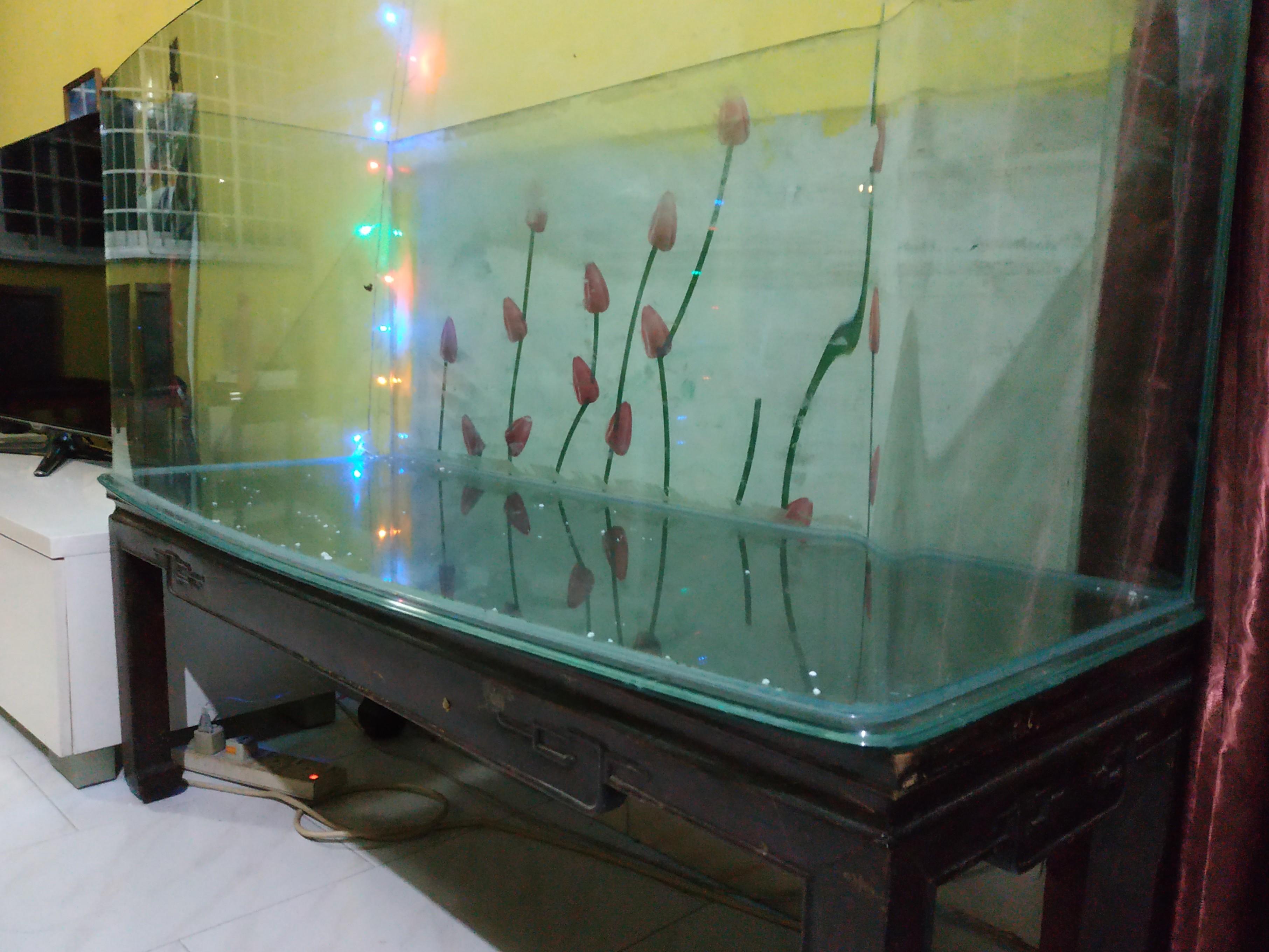 Fish Tank With Wooden Stand For Sale Pet Supplies For Fish Fish