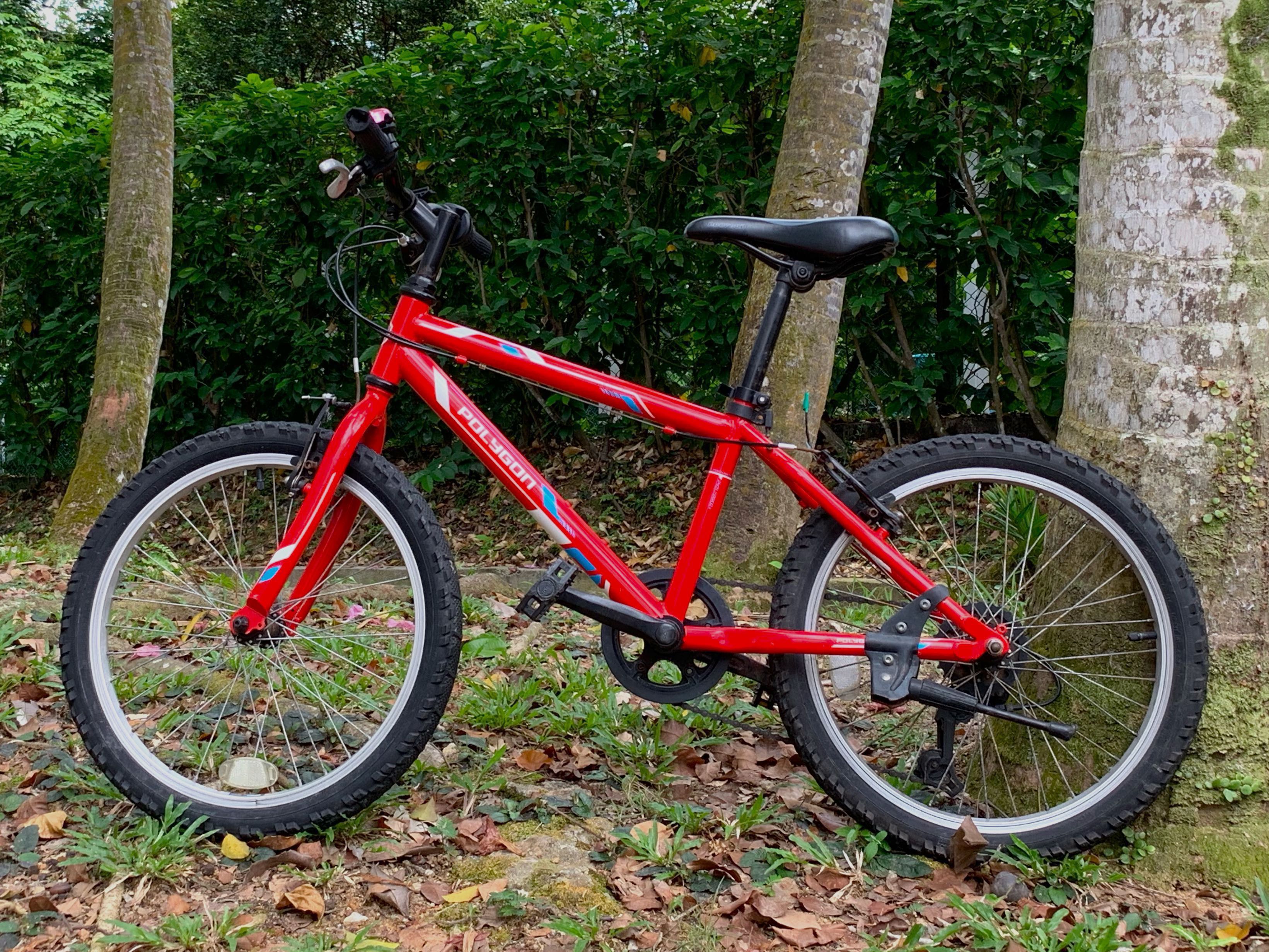 front wheel kickstand