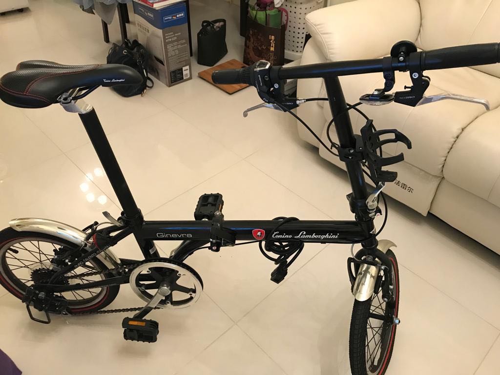 Tonino Lamborghini 20 Folding Bike