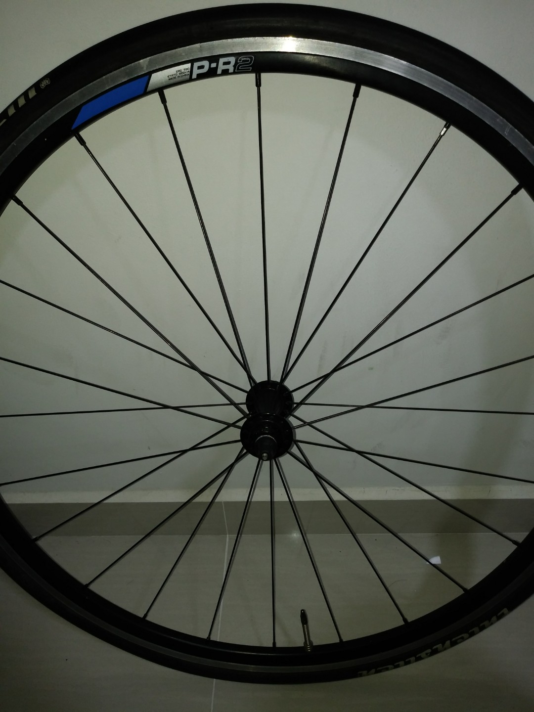 giant front wheel bike