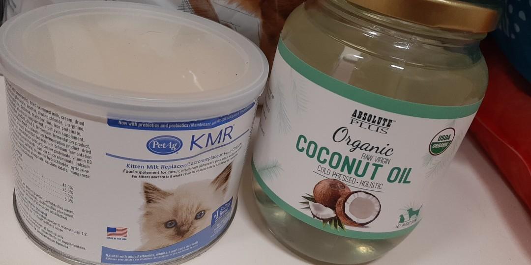 Coconut milk for kittens cheap